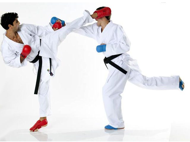 1e967ff4be9db776ed4d33f34ce291e5tokaido kumite master 2