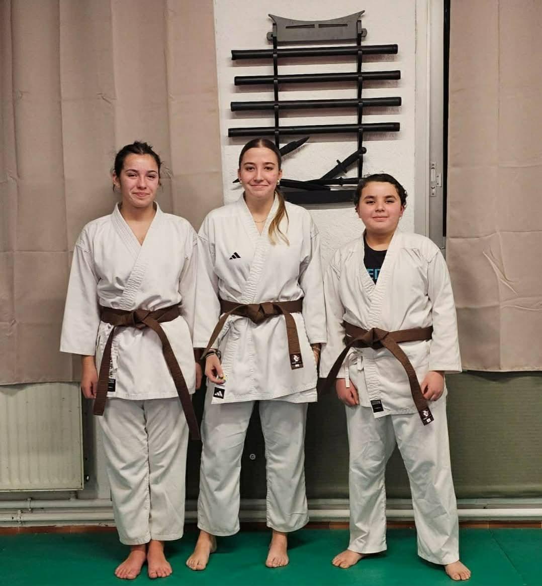 ceintures marron